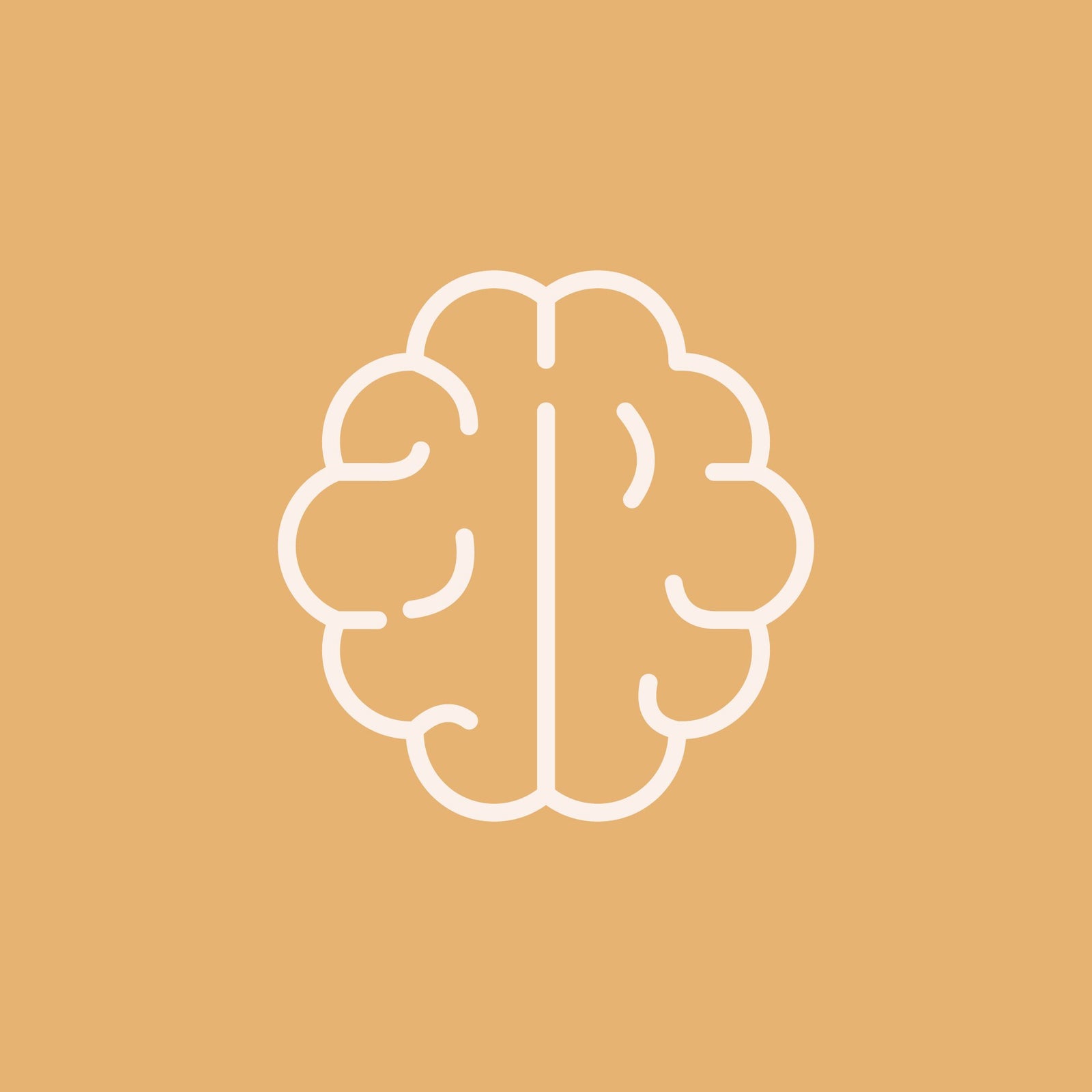 Supports nervous system and brain health
